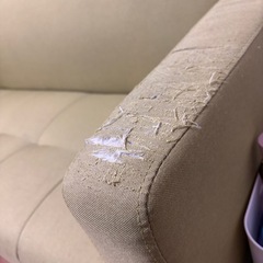 ソファ無料です！の画像