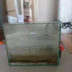 水槽 ガラス ヒーター付き 熱帯魚 