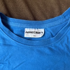 マイクラTシャツの画像