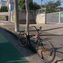 シャコタンチャリ