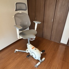 FlexiSpot V6 フィットネスバイク