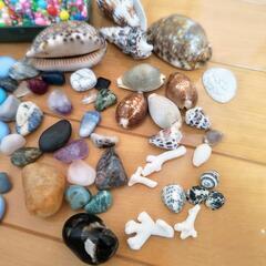 ビーズ　スパンコール　ストーン　貝殻の画像