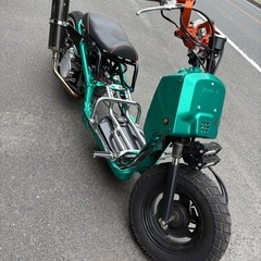 ホンダ　ズーマー
の画像