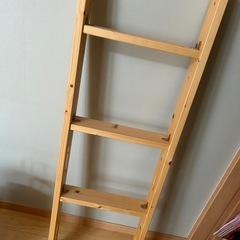2段ベッドのハシゴのみ。