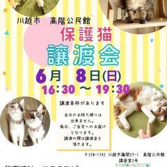 秘密結社ねこのひげ♡保護猫譲渡会