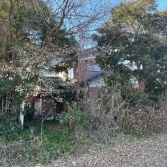 🌳🌱草むしり‼️問合せ多数の為一旦停止します。