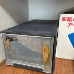 Fits 衣装ケース　収納ケース