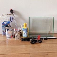 水槽　初心者セットの画像