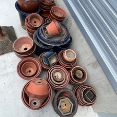 鉢無料