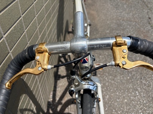 自転車本体　フジ　ストラトス
