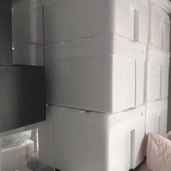 発泡スチロール　熱帯魚用の画像