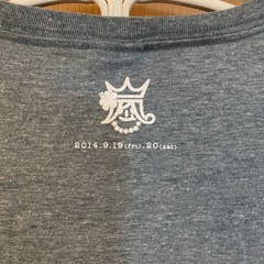 ⭐️新品•未使用⭐️🔷嵐🔷BLAST in Hawaii🔷Tシャツ🟪サイズ ： フリー（M～L）🟪プレミア品🟪の画像