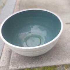 お話し中　プラ鉢