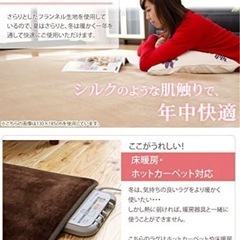 ［受付終了］タンスのゲン 防ダニ 円形 マイクロファイバー フランネルラグ 洗える 滑り止め付 ホットカーペット対応 直径140cm RONDO グリーン 24010011 GRの画像