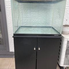 お話中  
ニッソー 60cmワイド水槽セット