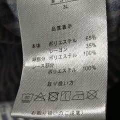 ⑭服とカーディガン一体化３Lの画像