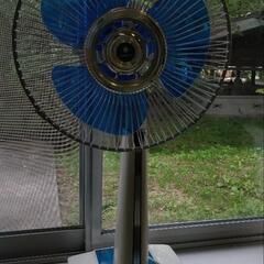 SANYO スタンド式扇風機 青白EF-6LEL