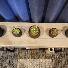 植物５点、飾りベンチ、金属製の水差し、陶器製の置物の画像