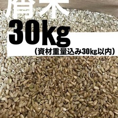 大分県産米お米　屑米　くず米　小米　飼料用　30㎏キロ