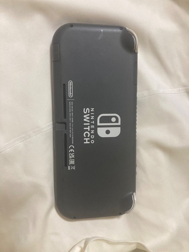 任天堂Switchライト
