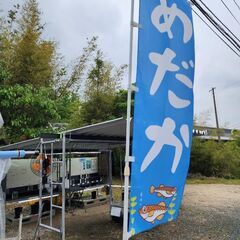 めだか無人販売所