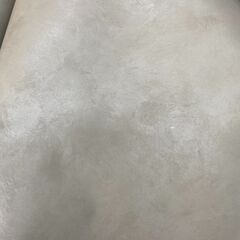 A469 激安!!  リアテック　TU4528　アーススタッコの画像