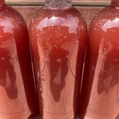 PSB 500ml 1本50円の画像