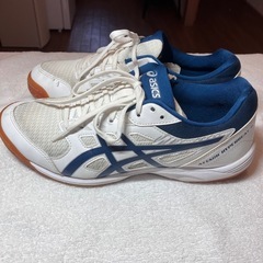 asics アシックス ハンドボール スニーカー 26.0センチ アウトシューズ インシューズの画像