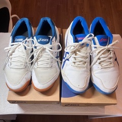 asics アシックス ハンドボール スニーカー 26.0センチ...