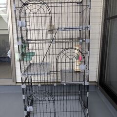 猫　３段ゲージ