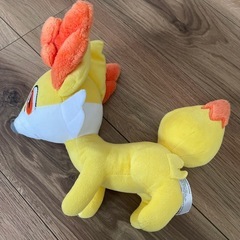 ポケモンセンター　フッコの画像