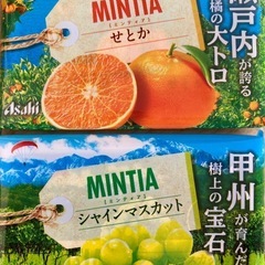 ミンティア