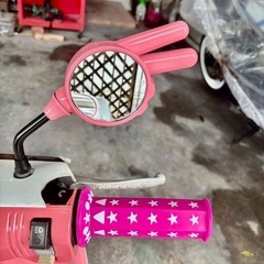 スパタクの画像