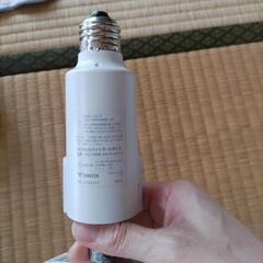 FAN付きLEDライトラージサイズ
