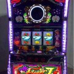 【パチスロ実機】Sマイフラワー2-30（30Φ）