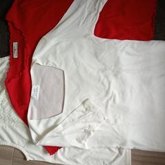 レディースシャツ