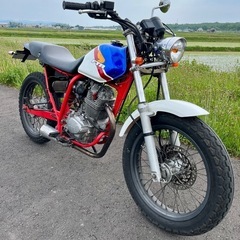 商談中❗️ホンダ FTR223 トリコロール　低走行 の画像