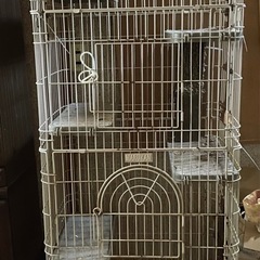 猫用ゲージ高さ約187センチ