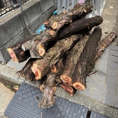 薪　未乾燥　カイヅカイブキ1.5m×10本くらい 