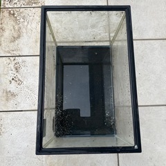 水槽　メダカ　熱帯魚　金魚の画像
