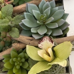 造花　オブジェの画像
