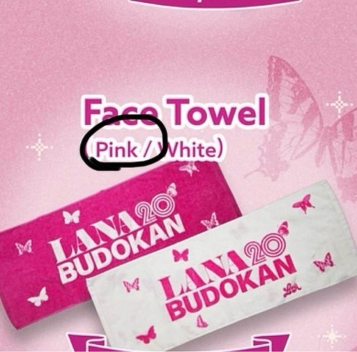 LANA BUDOKAN グッツ！！