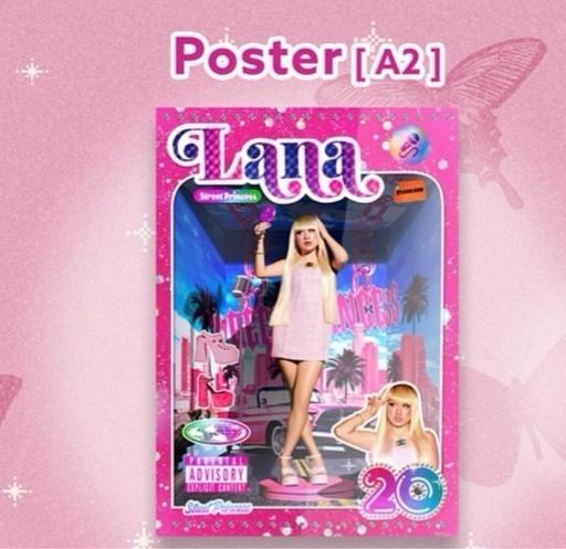 LANA BUDOKAN グッツ！！