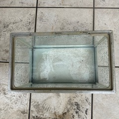 水槽　３０ｃｍ　メダカ　金魚　熱帯魚　グッピーの画像