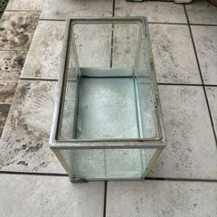 水槽　３０ｃｍ　メダカ　金魚　熱帯魚　グッピーの画像