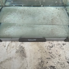 水槽　３０ｃｍ　メダカ　金魚　熱帯魚　グッピーの画像