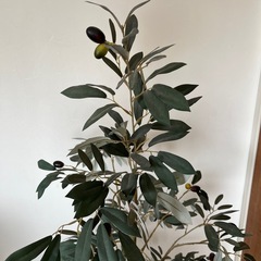 造花 オリーブの木の置物の画像