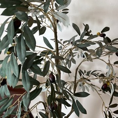 造花 オリーブの木の置物の画像