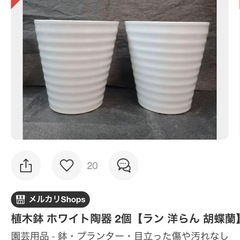 8月いっぱいでし取り消します！大人気♬激安まとめ売り！胡蝶蘭等、陶器鉢　プラ鉢　10個セットの画像