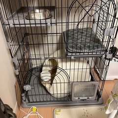 猫ゲージ